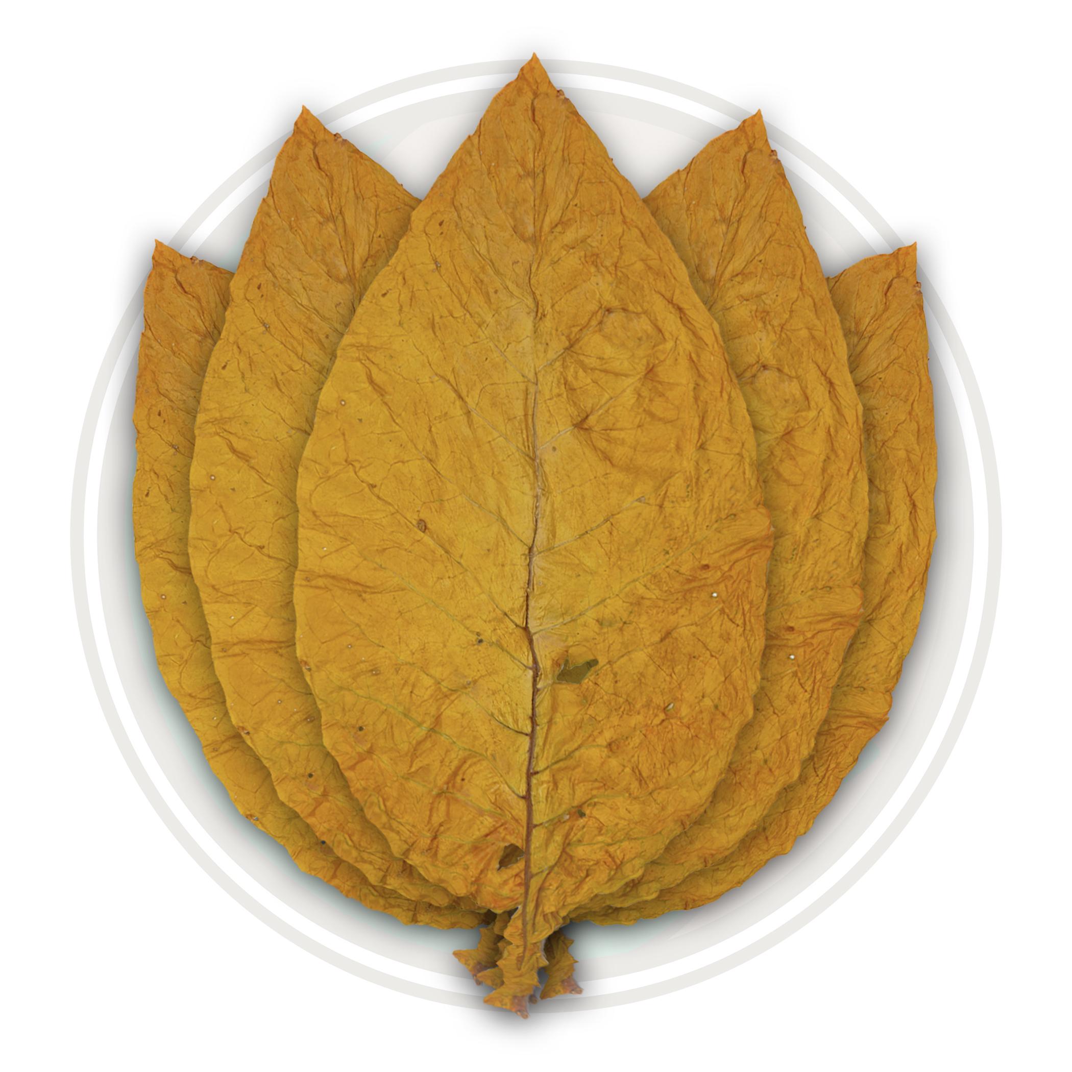 Organic Canadian Virginia Flue Cured Whole Tobacco Leaf 